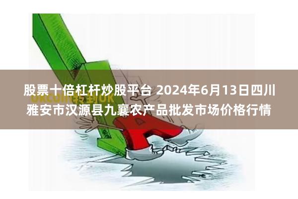 股票十倍杠杆炒股平台 2024年6月13日四川雅安市汉源县九襄农产品批发市场价格行情