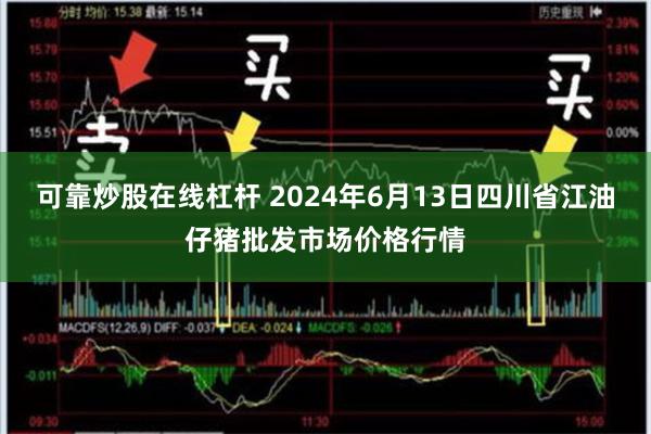 可靠炒股在线杠杆 2024年6月13日四川省江油仔猪批发市场价格行情