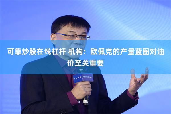 可靠炒股在线杠杆 机构：欧佩克的产量蓝图对油价至关重要