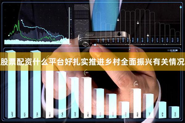 股票配资什么平台好扎实推进乡村全面振兴有关情况