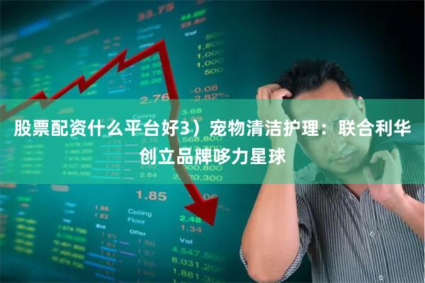股票配资什么平台好3）宠物清洁护理：联合利华创立品牌哆力星球