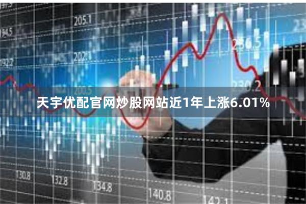 天宇优配官网炒股网站近1年上涨6.01%