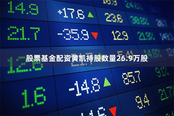 股票基金配资黄凯持股数量26.9万股