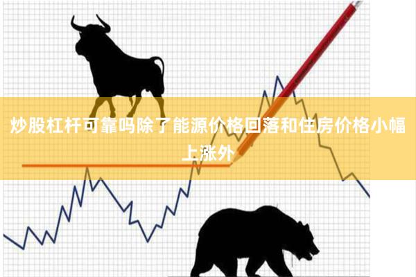 炒股杠杆可靠吗除了能源价格回落和住房价格小幅上涨外