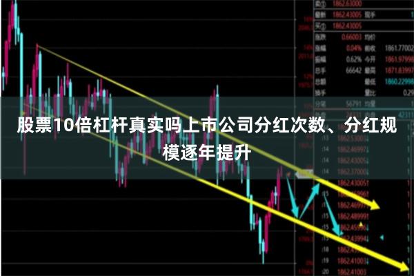 股票10倍杠杆真实吗上市公司分红次数、分红规模逐年提升