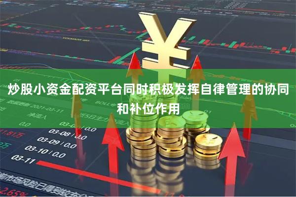 炒股小资金配资平台同时积极发挥自律管理的协同和补位作用